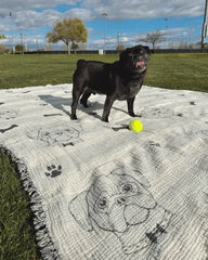 Pug - PARTY BLANKETâ¢
