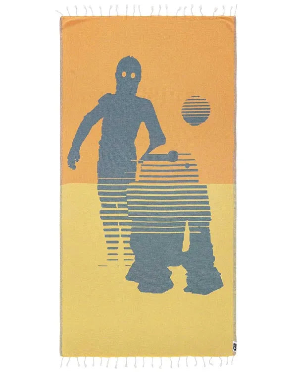 STAR WARSâ¢ - Droids C-3POâ¢ & R2-D2â¢