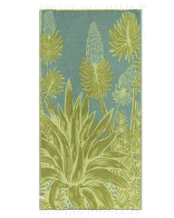 Agave